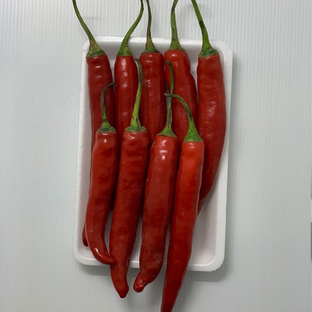 

Cabe Merah TW 200gr | Cabe Merah Besar Segar | Sayuran Fresh Tani Kita Lembang