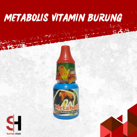 METABOLISME DR.EDHI OBAT BURUNG MABUNG MACET BUNYI / METABOLISME BURUNG ORIGINAL