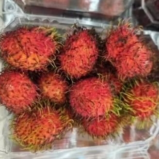 

Rambutan Binjai segar manis 1kg