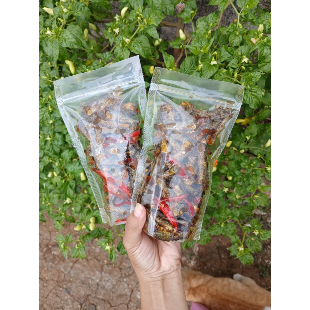 

sambal goreng ikan kating,lauk kering, ikan kating lombok ijo, pedes gurih, lauk murah & praktis tinggal makan