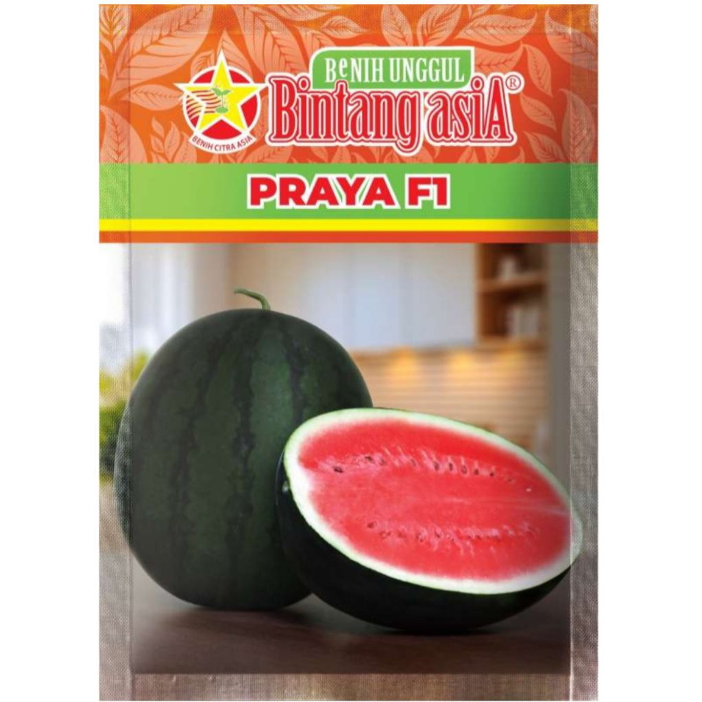 Benih semangka PRAYA 20 Gram Bintang Asia
