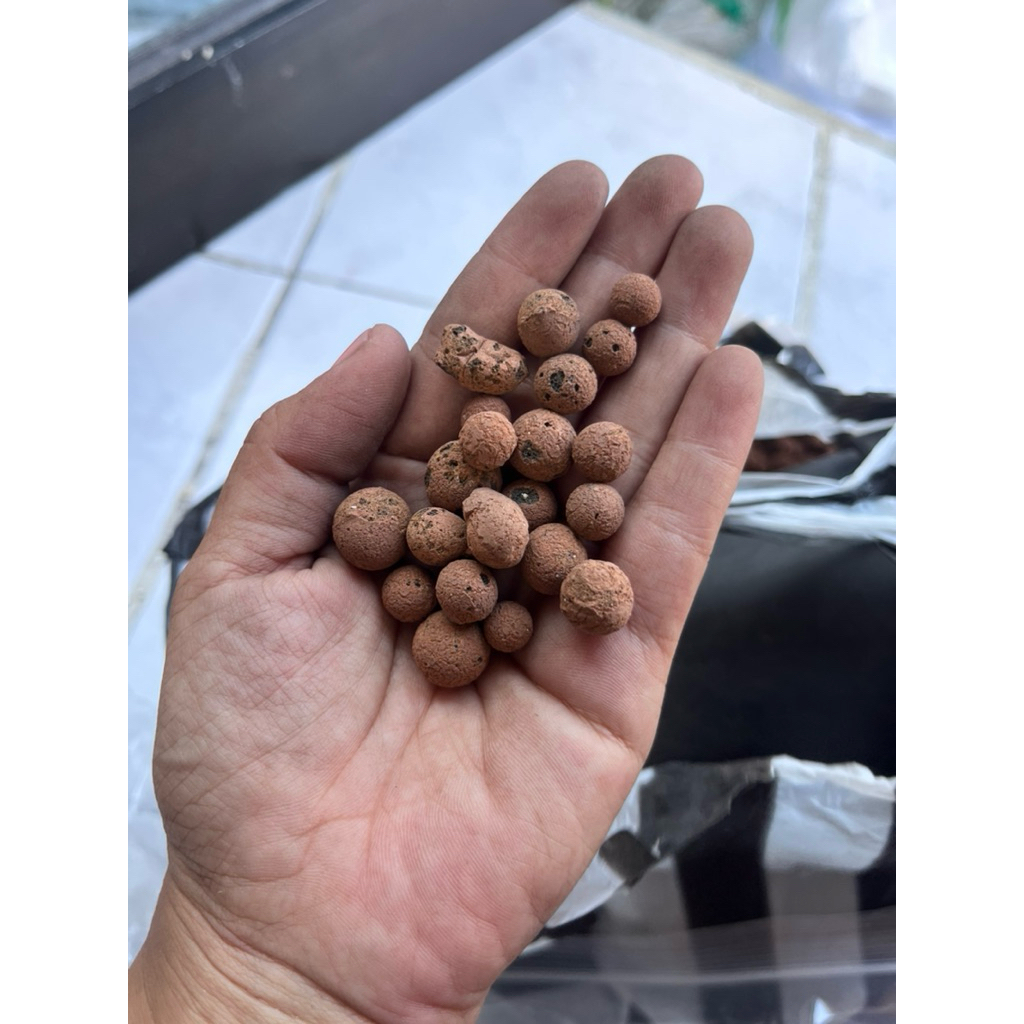 MEDIA TANAM HIDROTON