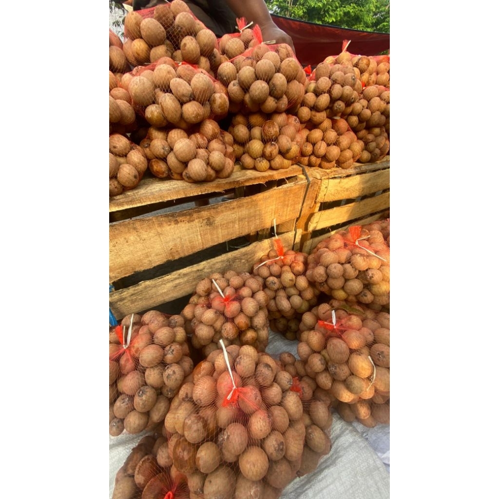 

Sawo Kecil Matang Masak Pohon 2 kg