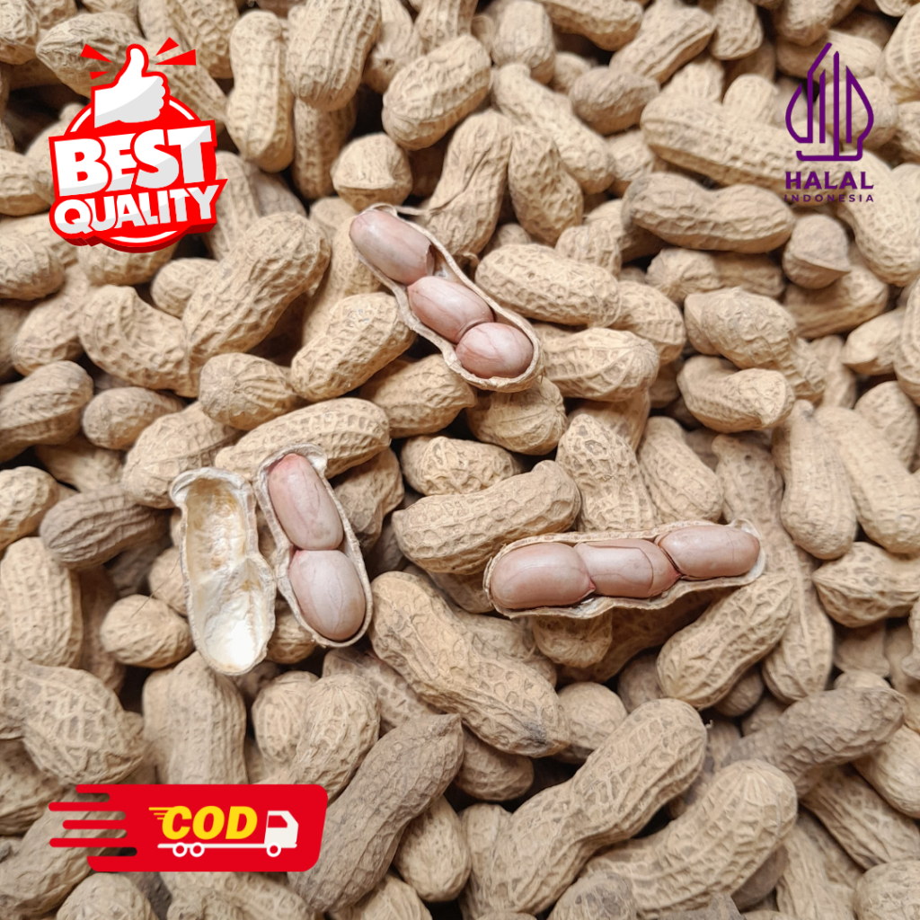 

KACANG GORENG KLETIK 58 BUMIAYU 1 KG GURIH RENYAH FRESH SETIAP HARI