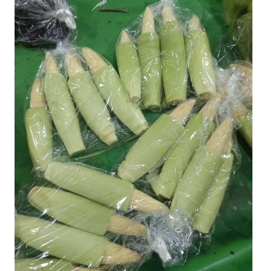 

Jagung Muda/Putren