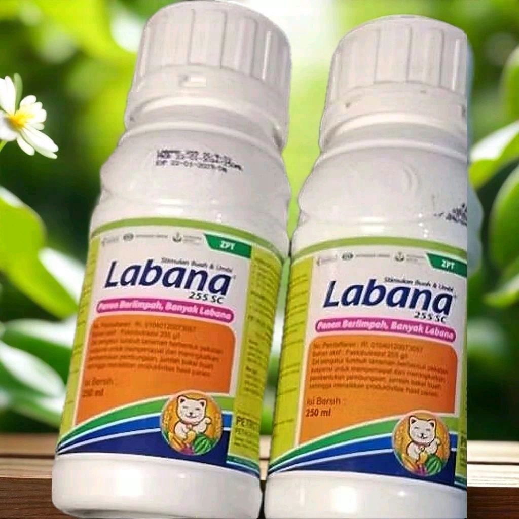 Pembesar buah dan umbi LABANA 255 SC.250ml.