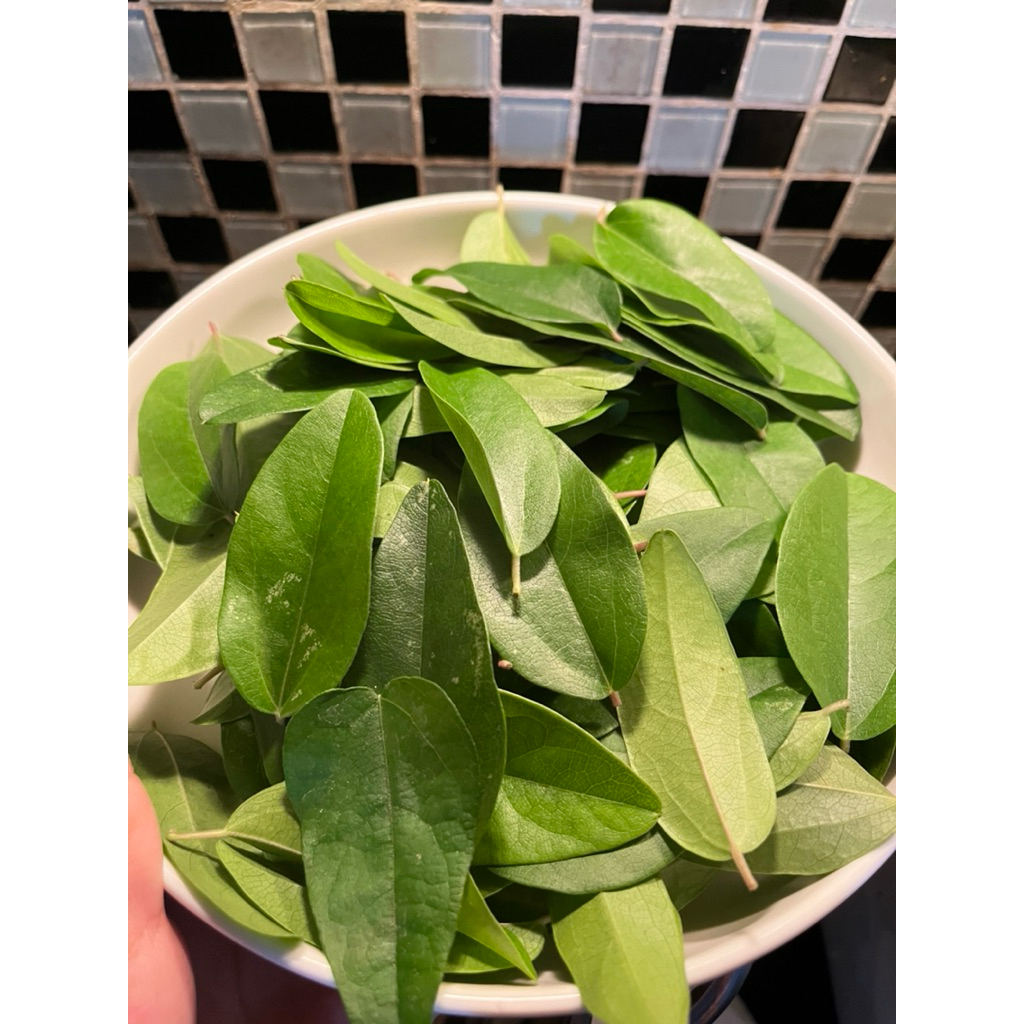 

Daun Cincau Cuing Kecil Fresh