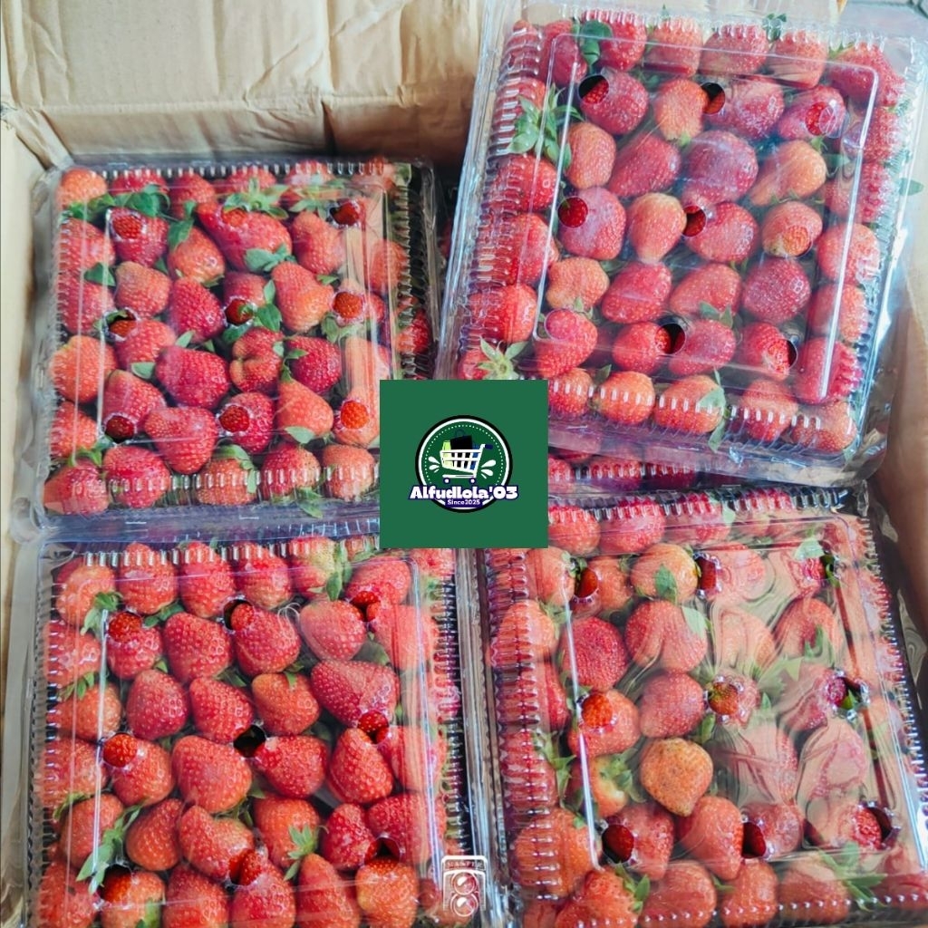 

Strawberry fresh Stroberi 1kg