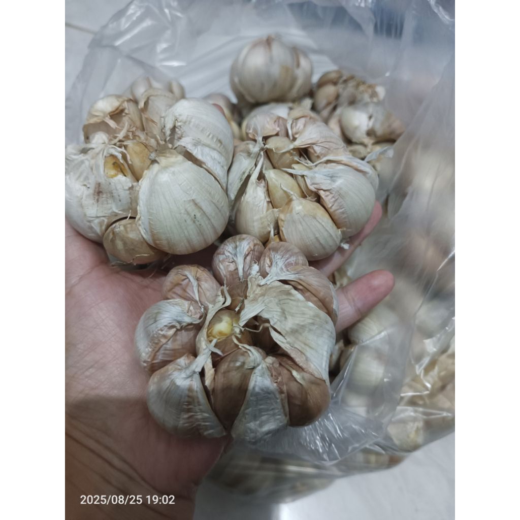 

Bawang putih SHYNCO 1kg