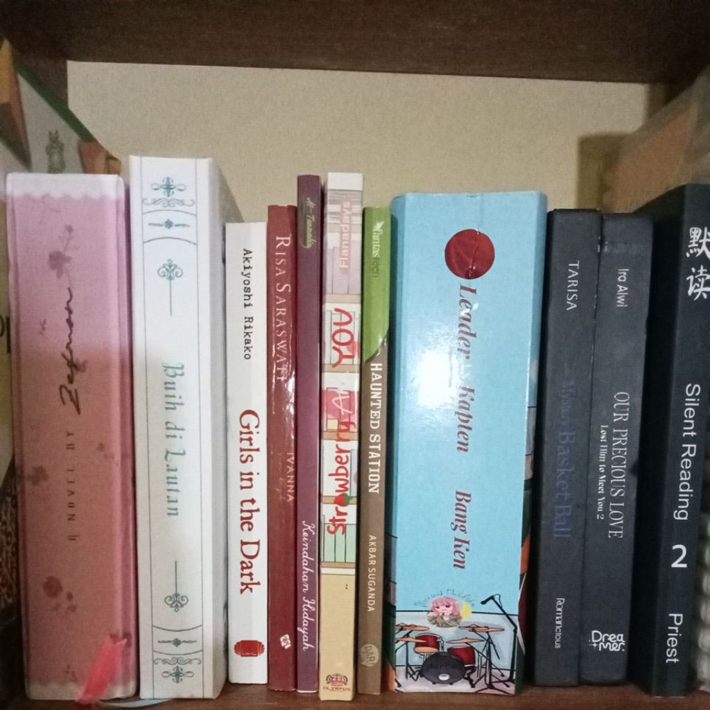 Preloved Novel (our precious love, ivana, girls in the dark, haunted station, strawberry and you)