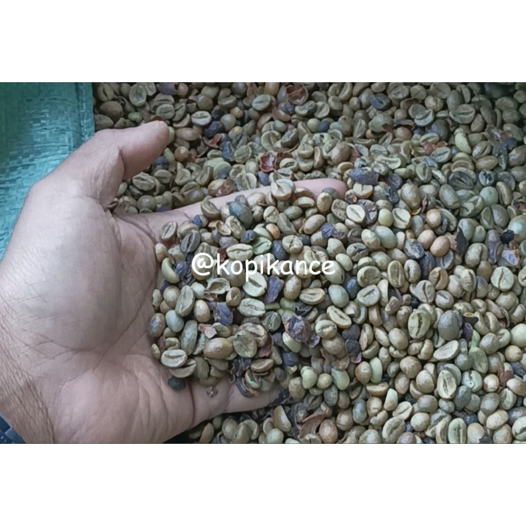 

biji kopi mentah ( campur) robusta no 2