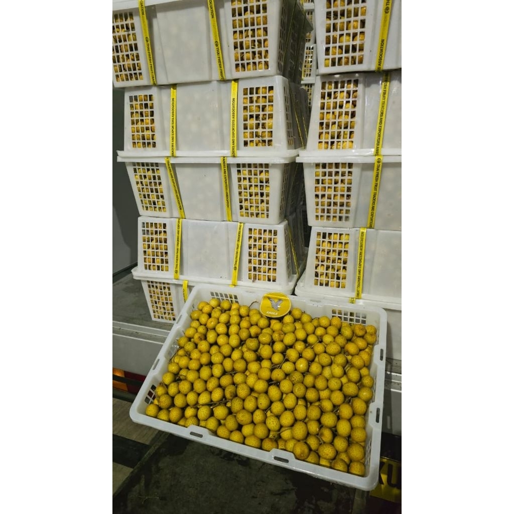 

Klengkeng Bangkok Klengkeng fresh 1kg