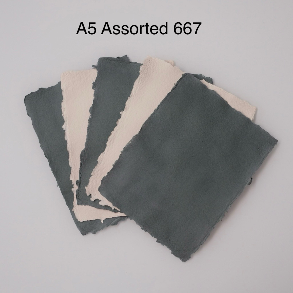 

A5 Assorted 667