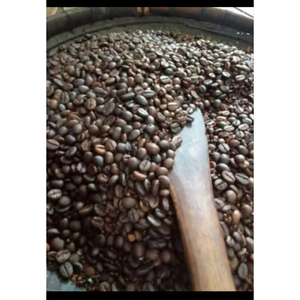 

kopi robusta muria 1 ball 25 bungkus ×100gram