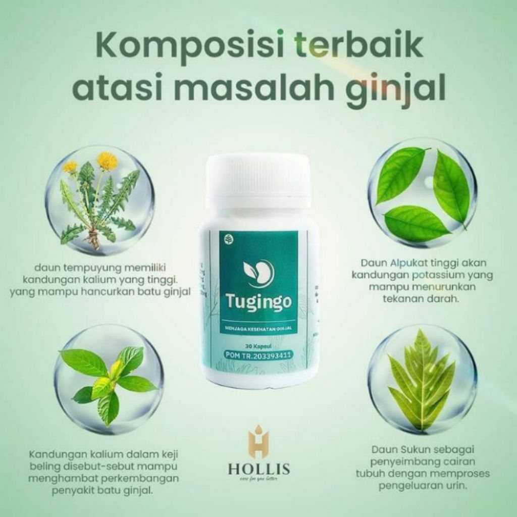 Tugingo-Obat Batu Ginjal /Penyakit Ginjal Kronis/Gagal Ginjal/Ginjal Bocor/Infeksi Ginjal dan Mengob