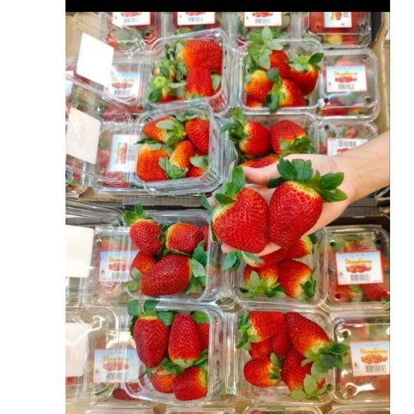 

Strawberry Australia 250g | Pack