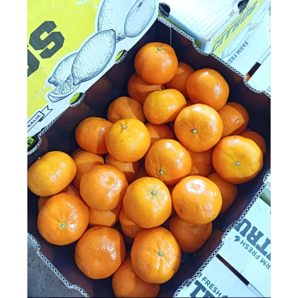 

Jeruk Honey Murcot Australia 1 kardus 8 kg