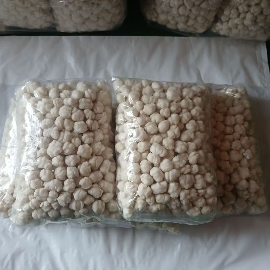 

pilus cikur / pilus seblak / pilus kencur