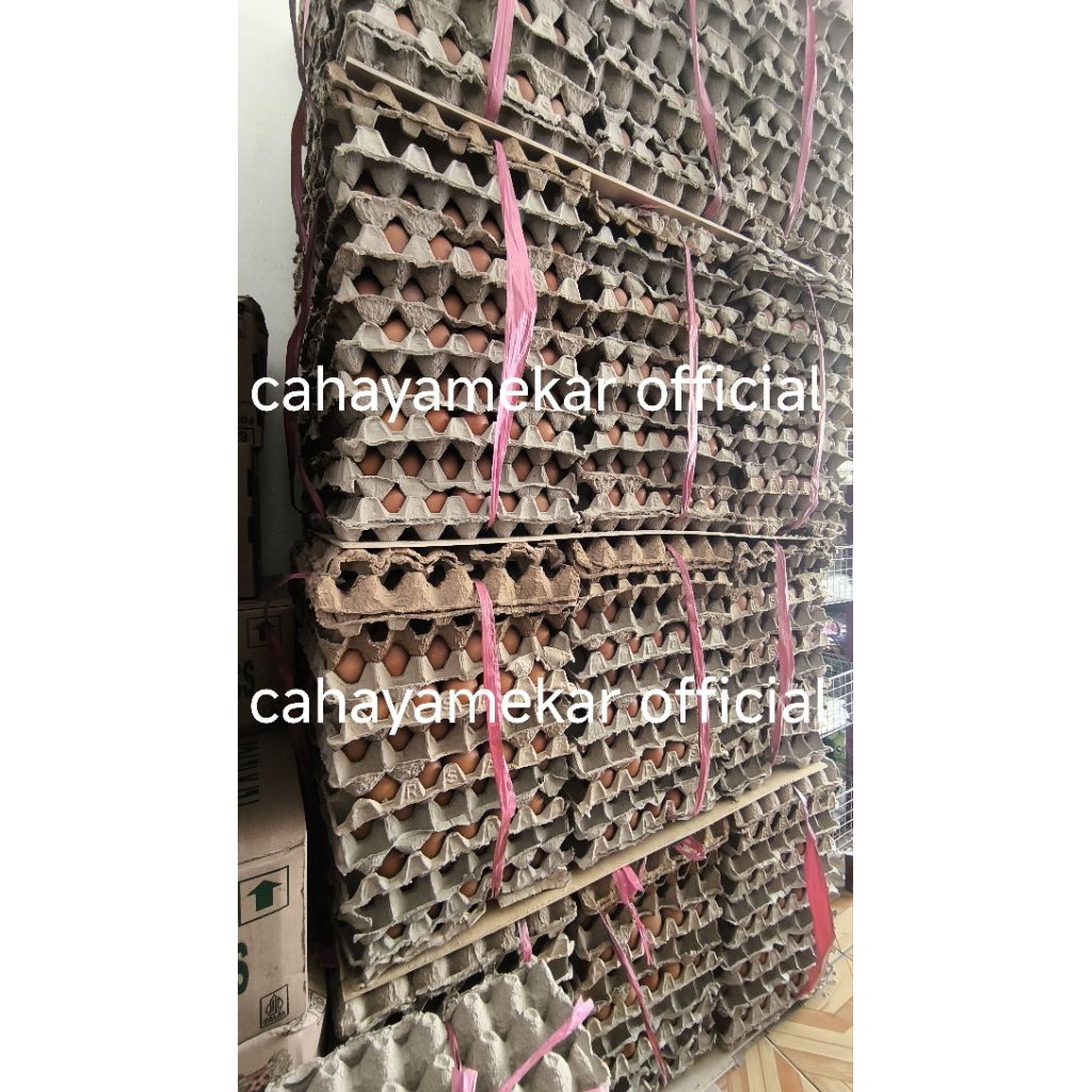 

TELUR AYAM NEGERI 5 KG (KHUSUS GO-SEND)