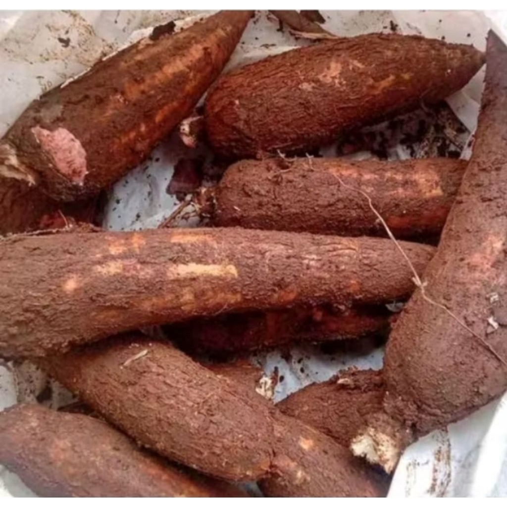 

singkong fres 1kg, umbi singkong pulen singkong