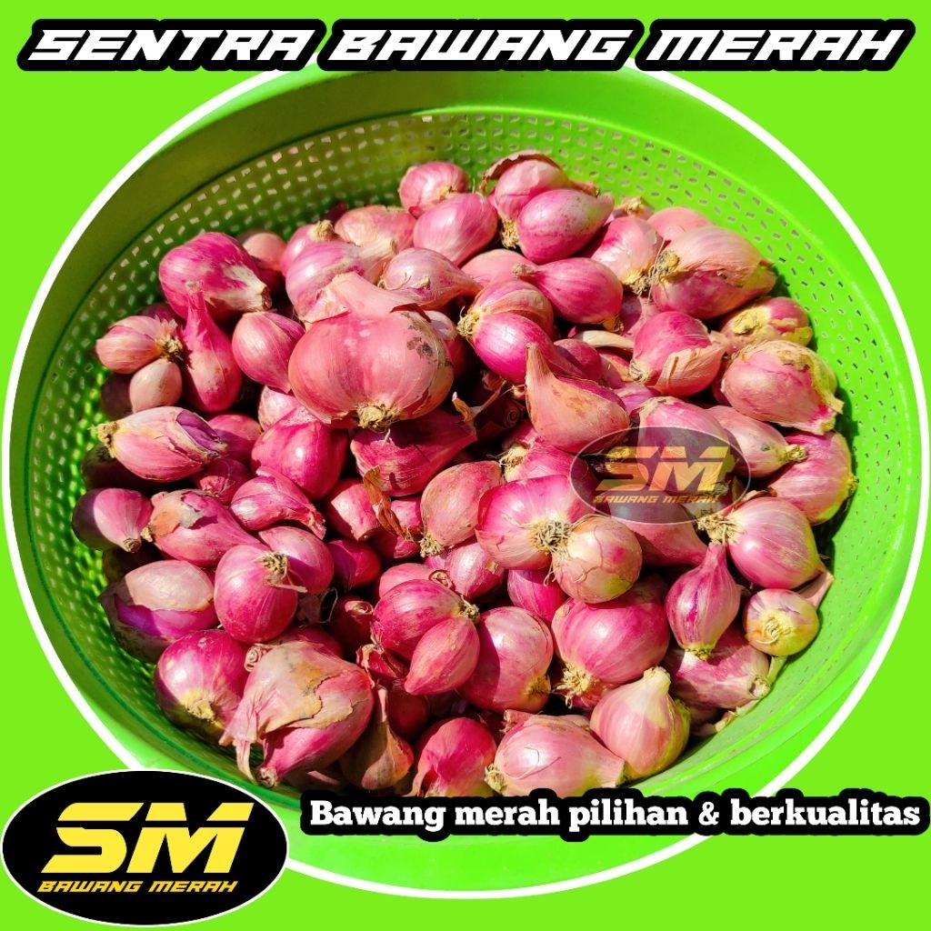 

Bawang merah murah kualitas bagus promo 1KG