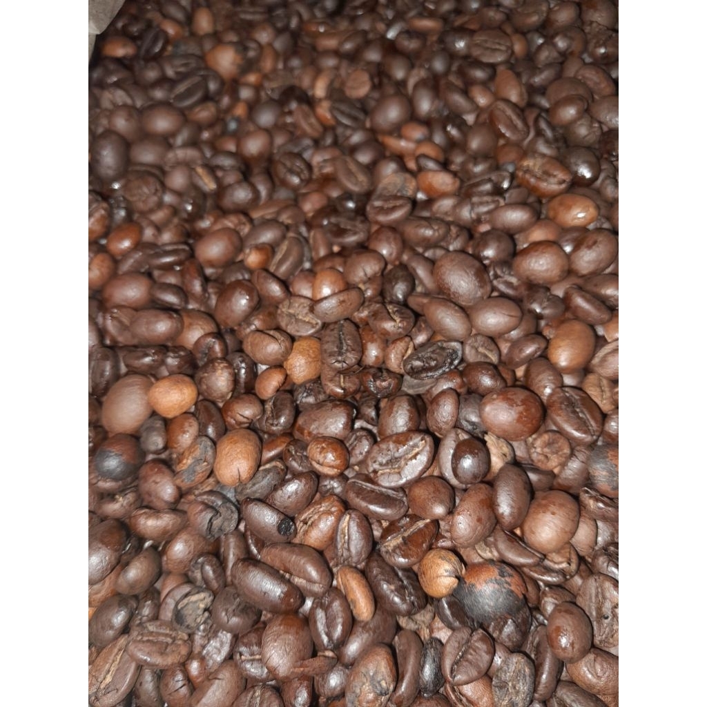 

Biji Kopi Robusta Asli Lampung