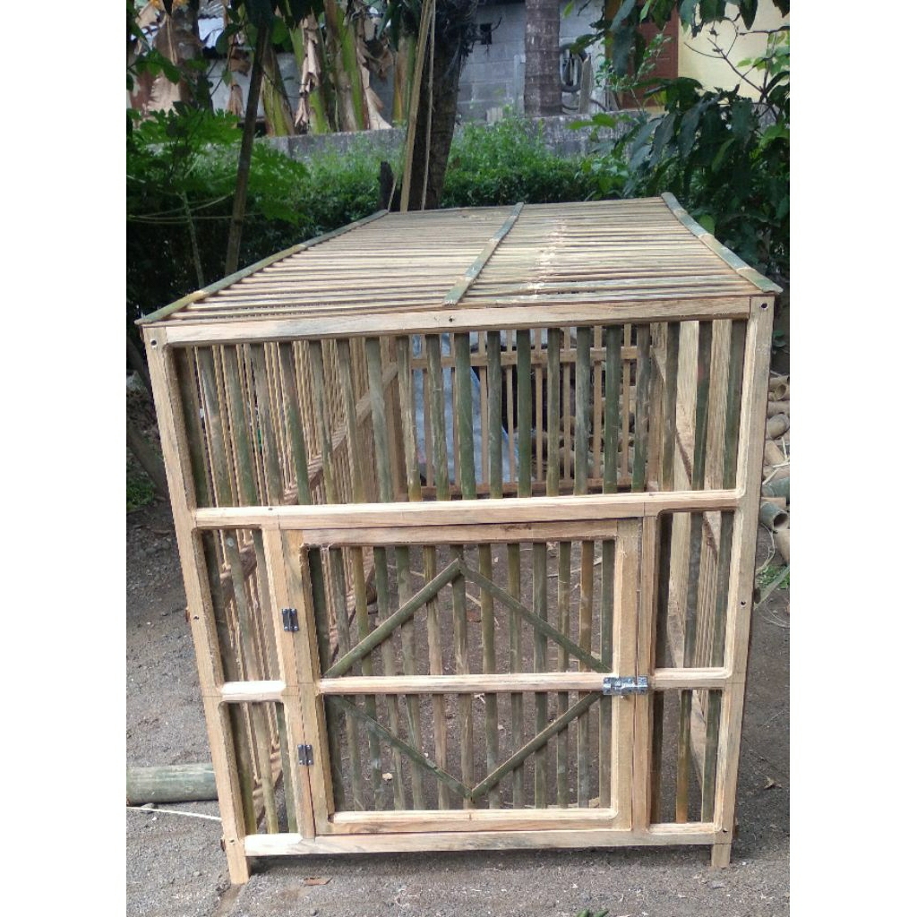 kandang umbaran ayam bongkar pasang