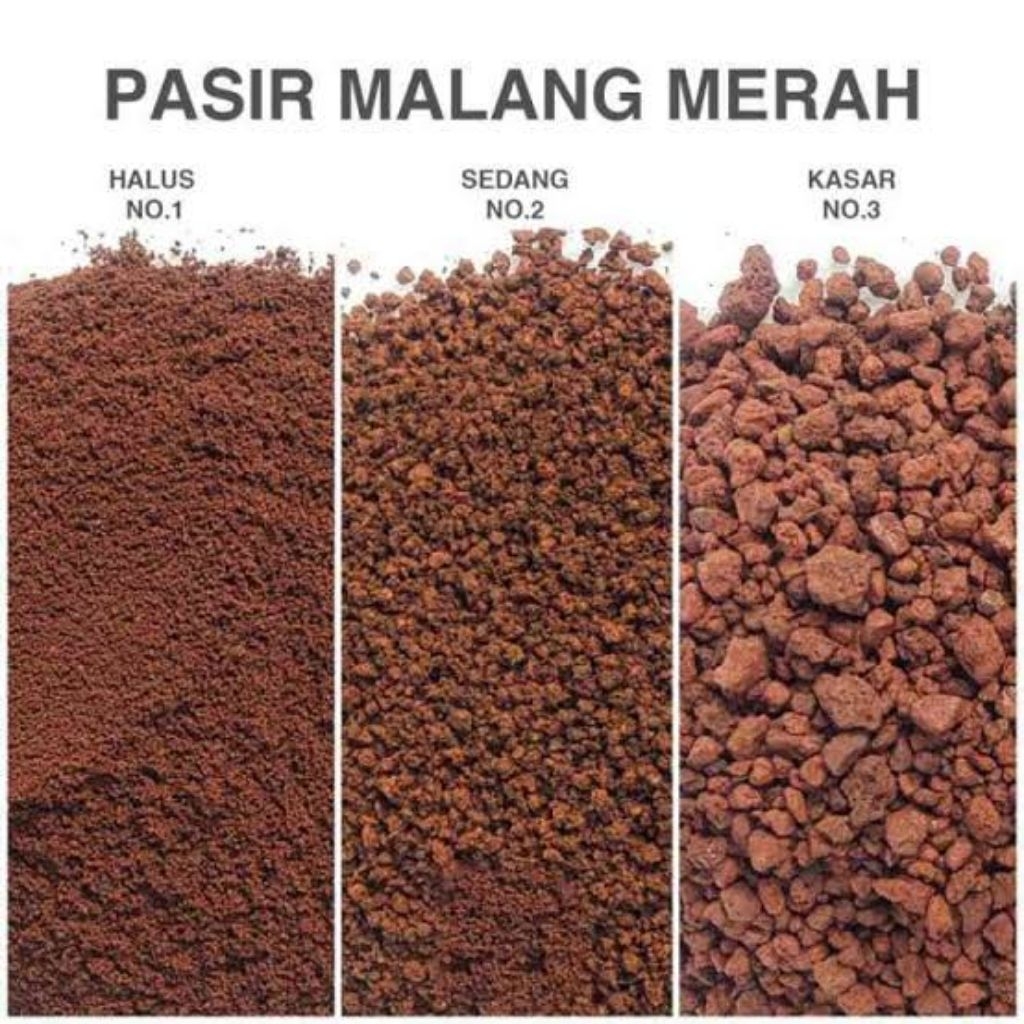 Pasir malang merah 1KG Grade A subtrat channa yellow auranti