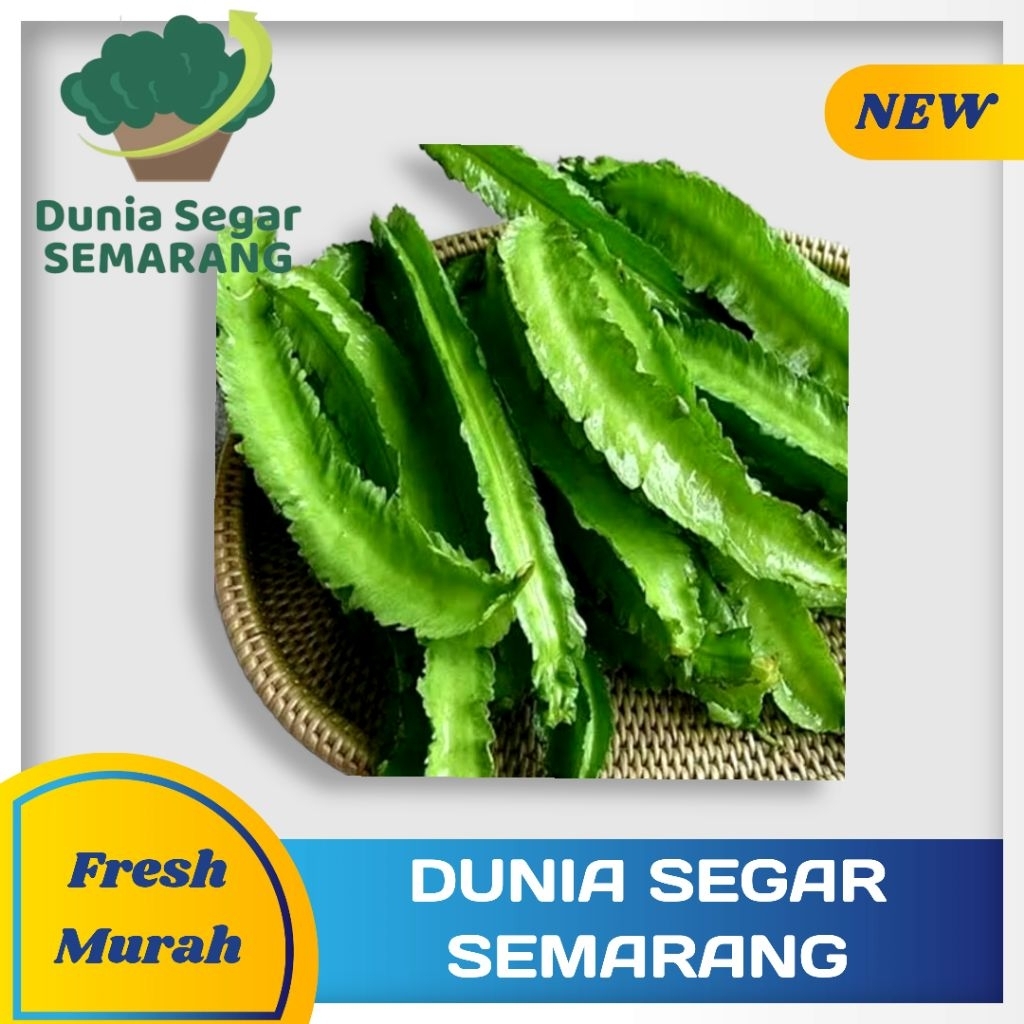 

Kecipir 250 gr