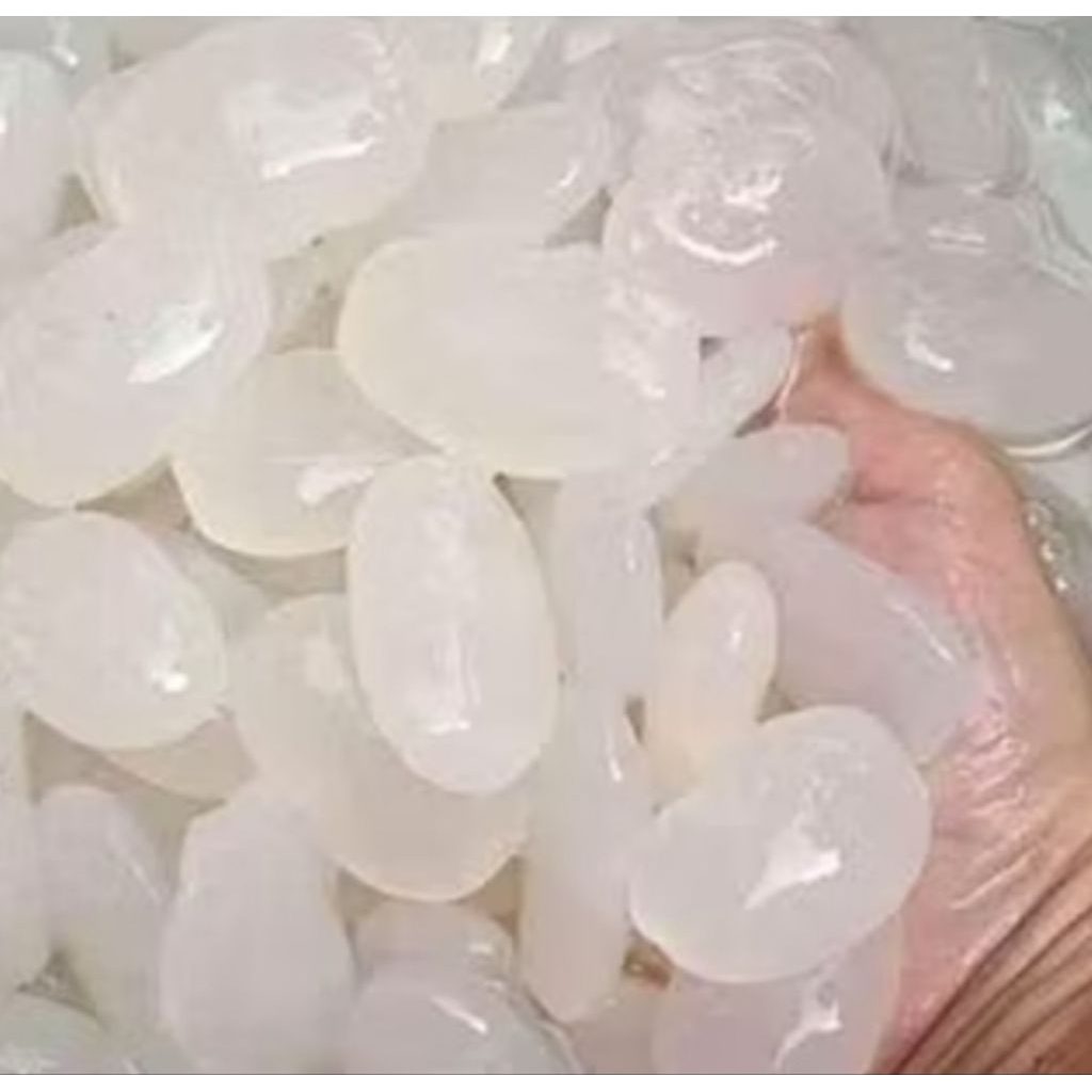 

Kolang kaling segar 5 kg