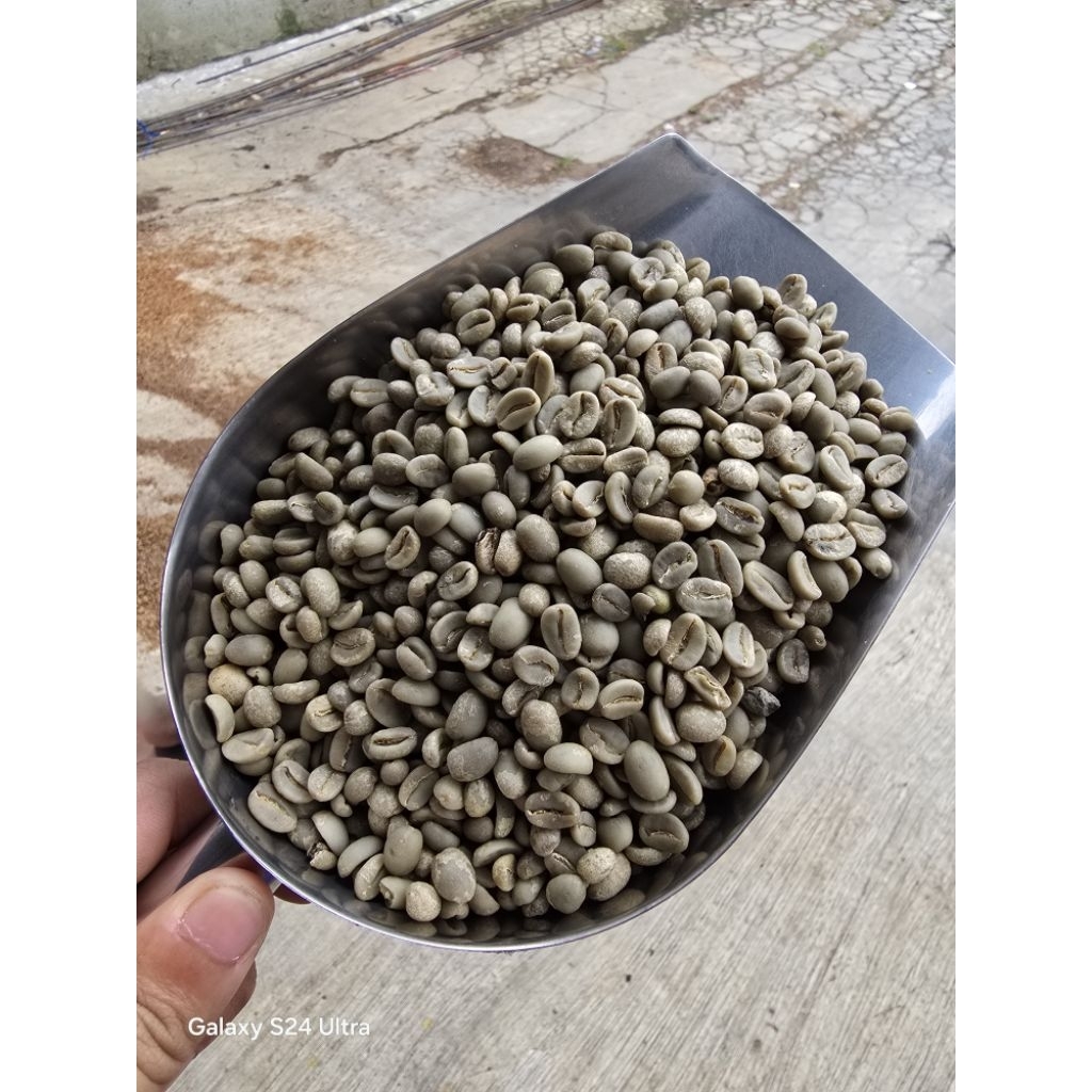 

Greeenbean FW Arabika Temanggung 1 KG (COCOK UNTUK BAHAN BLEND)