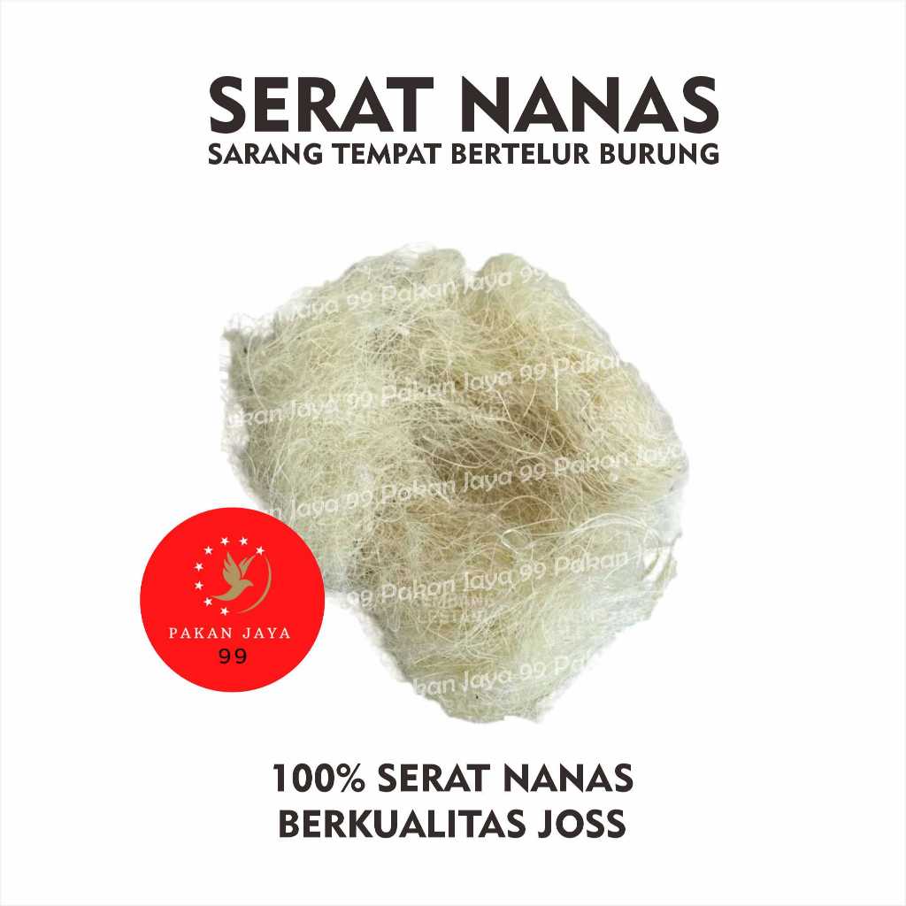 SERAT NANAS SARANG BURUNG TERNAK BREEDING TEMPAT BERTELUR  BURUNG KENARI  LOVEBIRD CIBLEK DLL NYAMAN