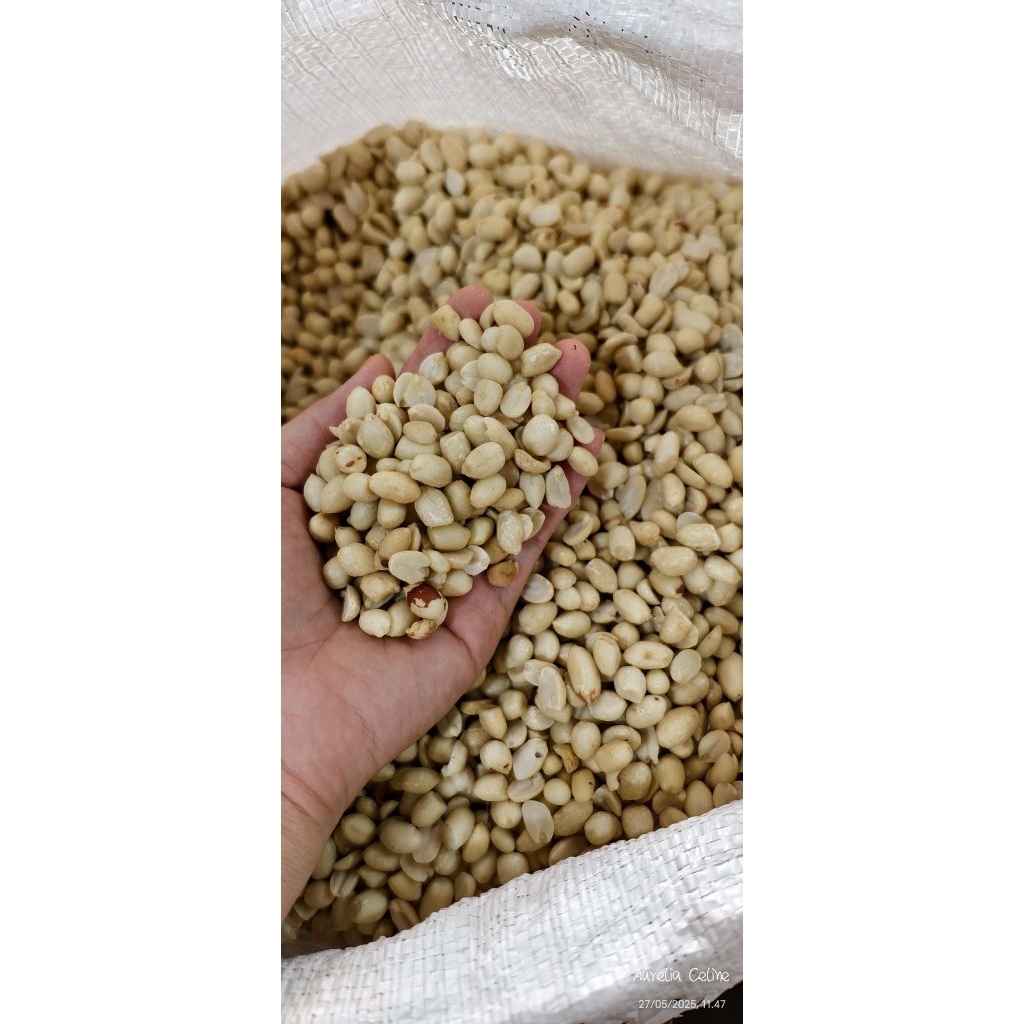 

kacang tanah kupas mentah / kacang kupas