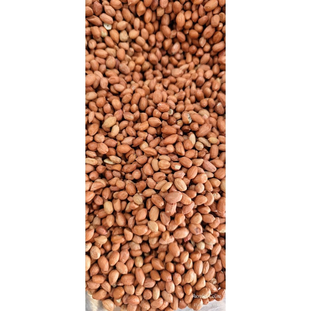 

kacang tanah mentah super import / kacang tanah kulit ari mentah