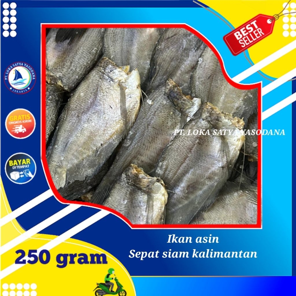 

ikan asin sepat siam super 250gram