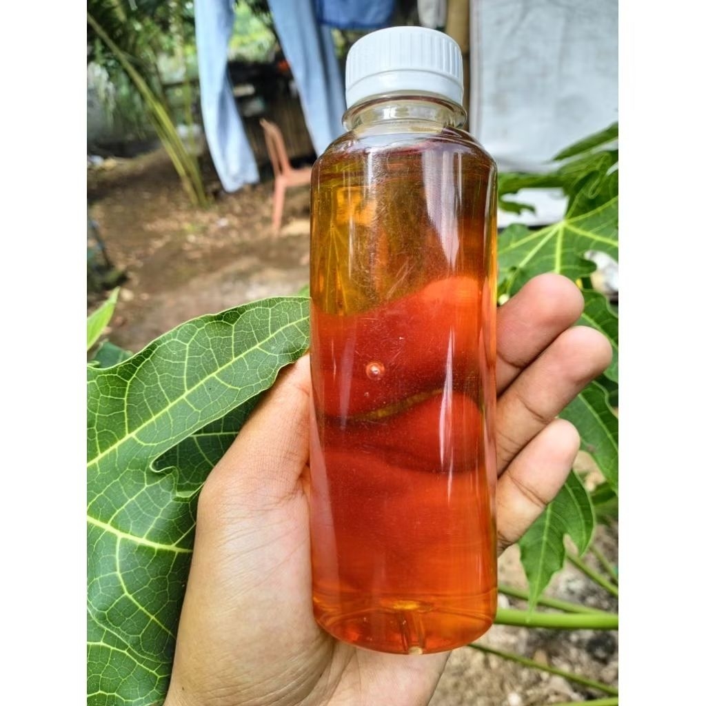 

Madu Murni Asli Multiflora 360gram