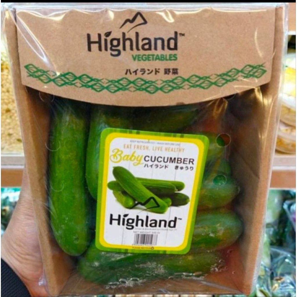 

highland baby cucumber import | timun baby pack / 500 gr