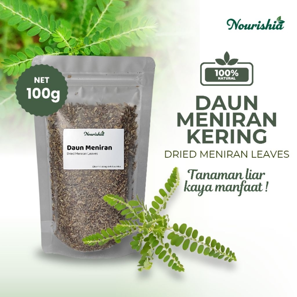 

Daun Meniran Hijau Kering 100gr Dried Backleaves Herbal alami