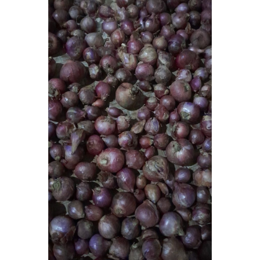

bawang merah bawang putih