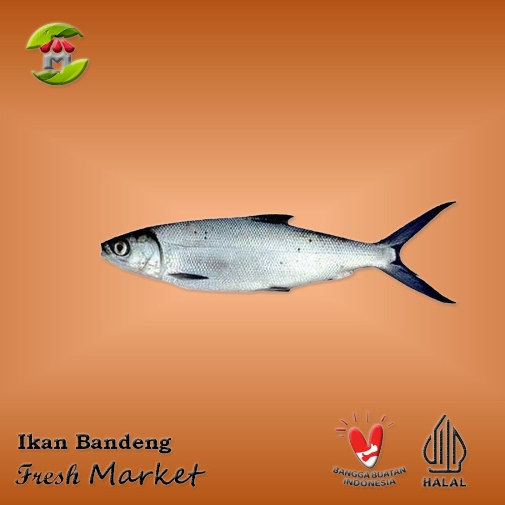 

[Bintaro] Ikan Bandeng Pack 900gr - 1kg