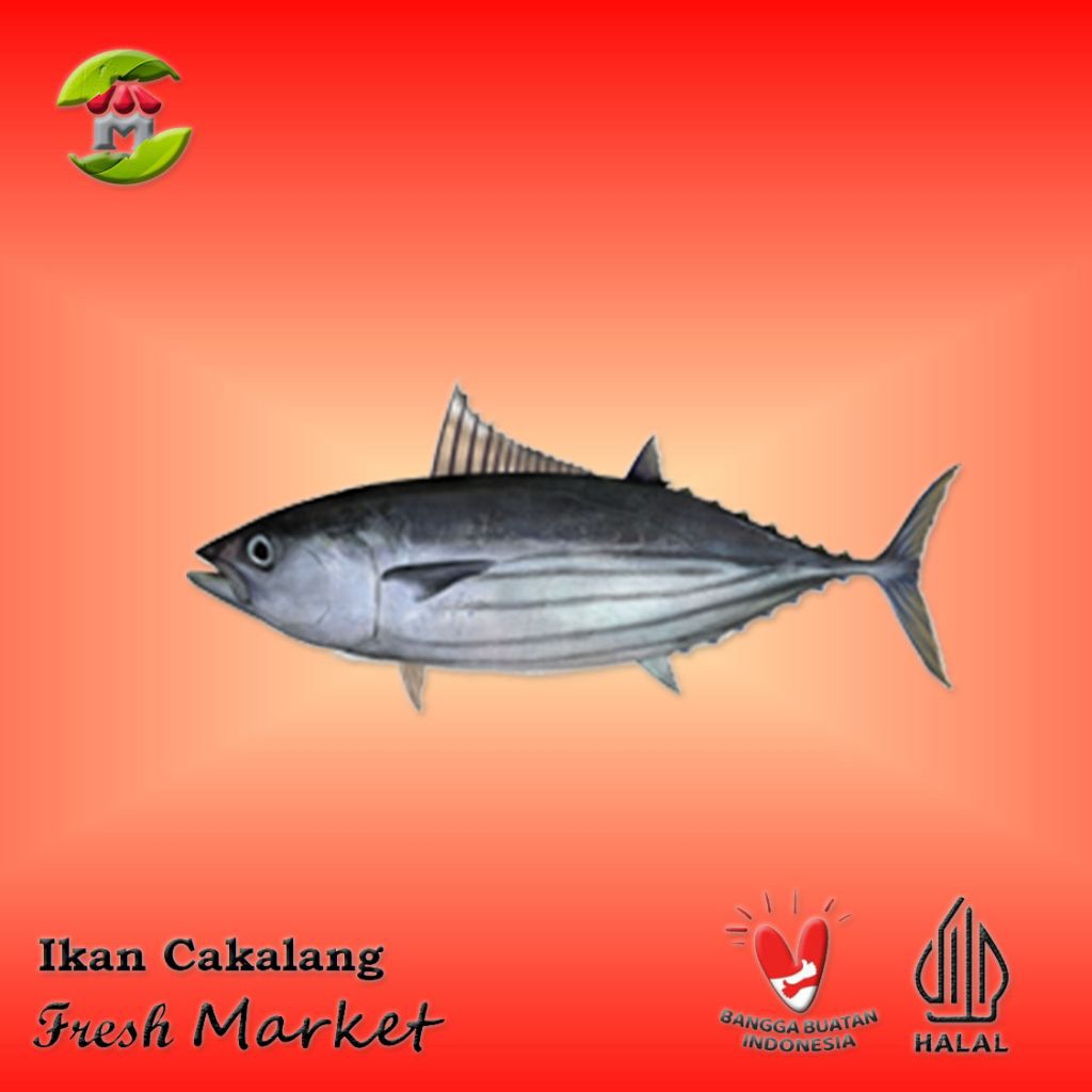

[JAKTIM] Ikan Cakalang Pack 900gr - 1kg