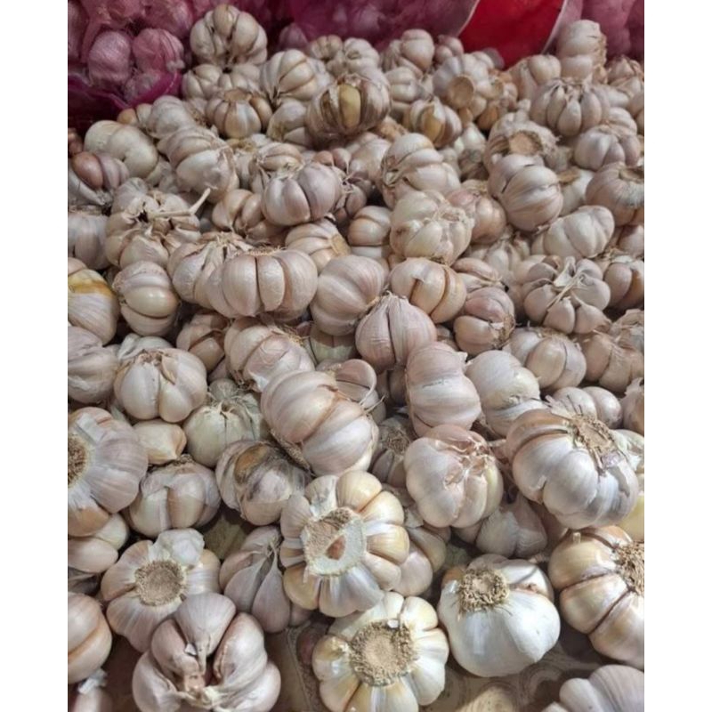 

BAWANG PUTIH SUPER 1 KG