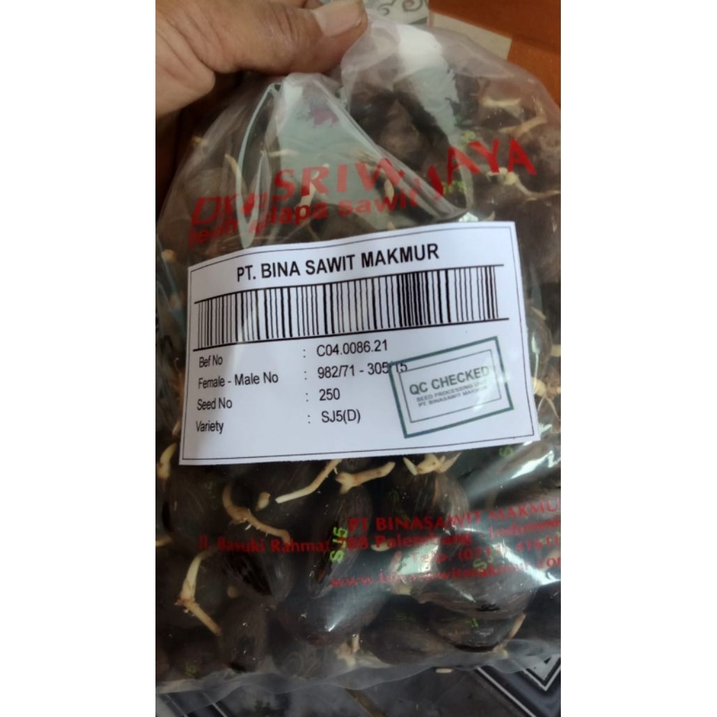 

benih unggul