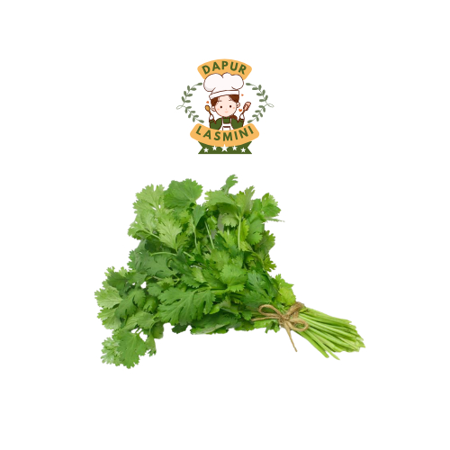 

Daun Coriander / Ketumbar 50 Gram