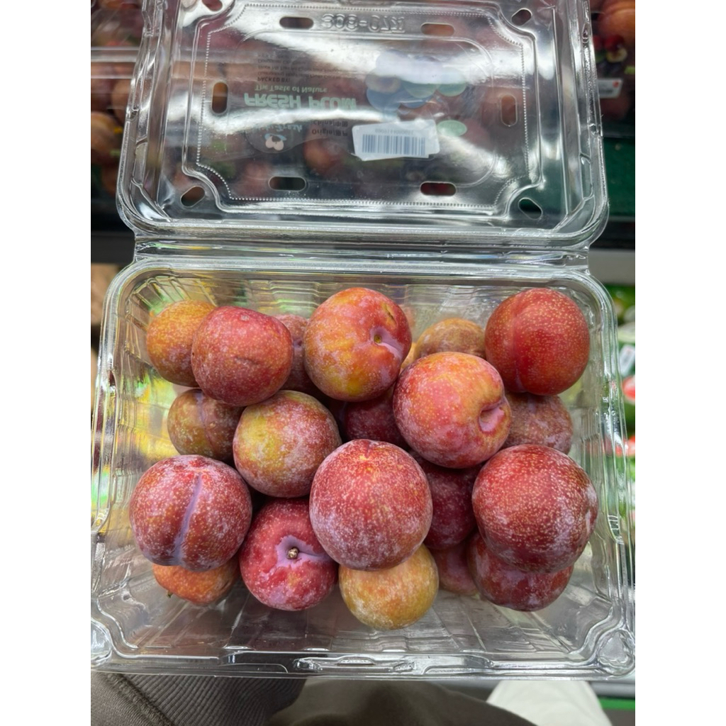 

Plum China Import | Plum China RRC 800gram