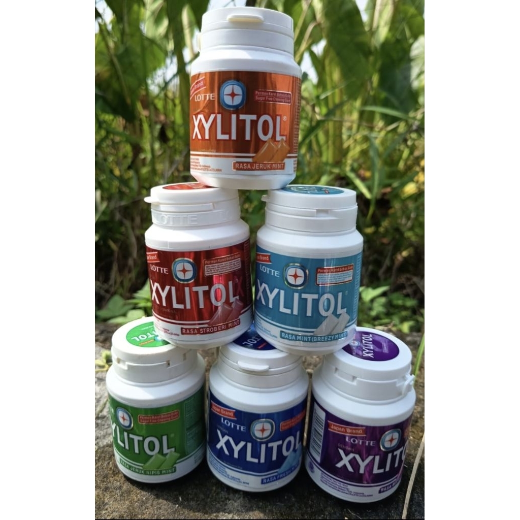 

Lotte Xylitol Permen Karet Bebas Gula Kemasan Besar 58 Gram