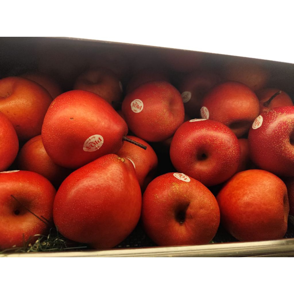 

Buah pear merah piqa boo manisss super premium 1 kg