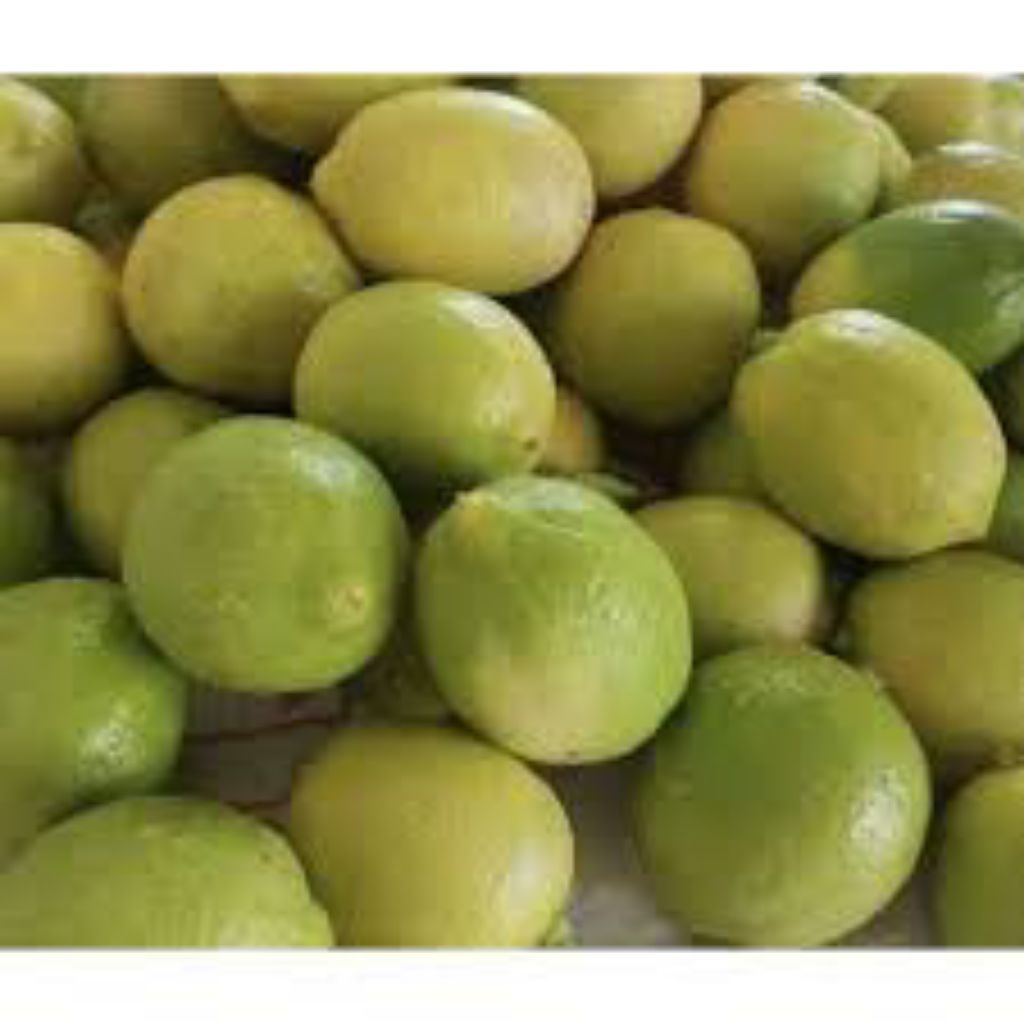 

Jeruk Lemon lokal 1 kg