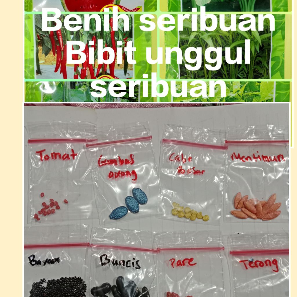 SERIBUAN_Benih/bibit sayuran lengkap dan unggul siap tanam