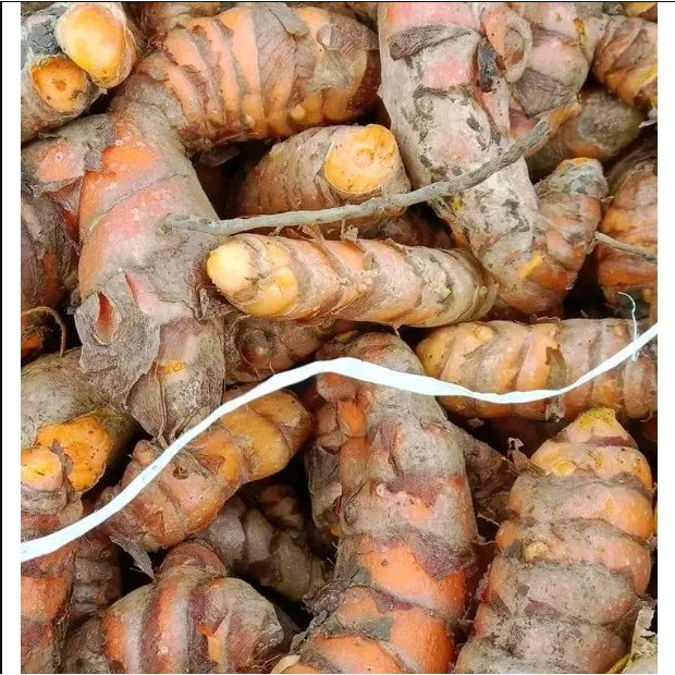 

1 Kg Kunyit Segar/ 500 gram kunyit bumbu